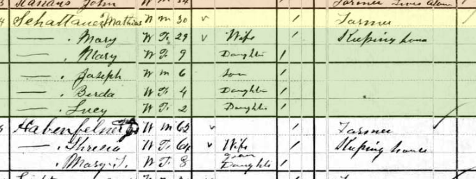 Matthias Schattauer 1880 census Shawnee Township MO