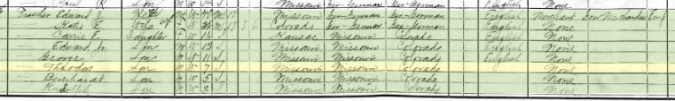Theodore Fischer 1910 census Brazeau Township MO