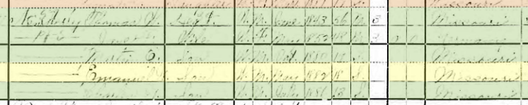 Emanuel Newberry 1900 census Salem Township MO