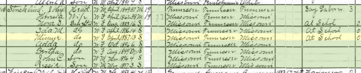 Minnie Strickland 1900 census Brazeau Township MO
