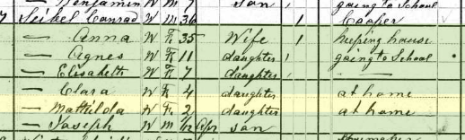 Clara Seibel 1880 census Union Township MO