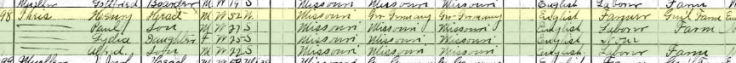Henry Theiss 1910 census Brazeau Township MO