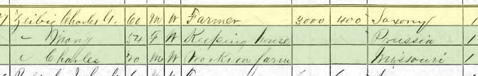Carl Zeibig 1870 census Brazeau Township MO