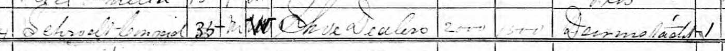 Lillie Schrodt 1870 census Murphysboro IL
