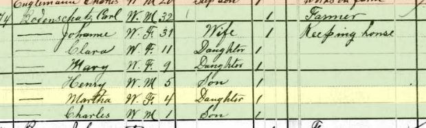 Martha Bodenschatz 1880 census Apple Creek Township MO