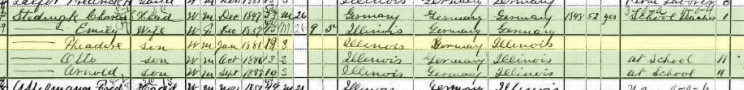 Theodore Stedingk 1900 census Red Bud IL